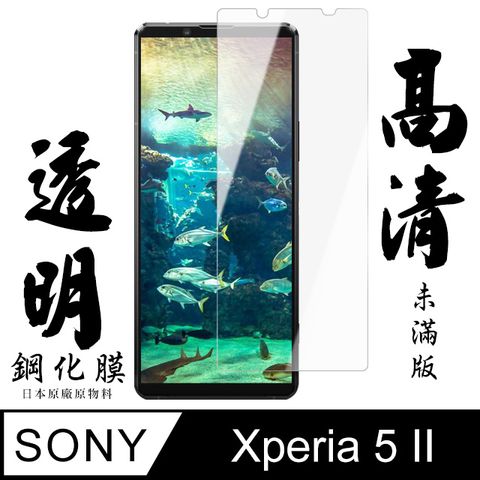 AGC日本玻璃 保護貼 【AGC日本玻璃】 SONY Xperia 5 II  保護貼 保護膜 透明非全覆蓋 旭硝子鋼化玻璃膜