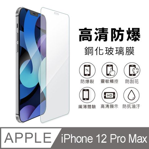 iPhone 12 Pro Max 6.7吋 透明鋼化玻璃保護貼