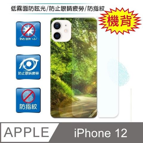 D&A for iPhone 12霧面防眩機背貼