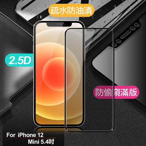 X mart Xmart for iPhone 12 Mini 5.4吋 防偷窺滿版2.5D鋼化玻璃保護貼-黑