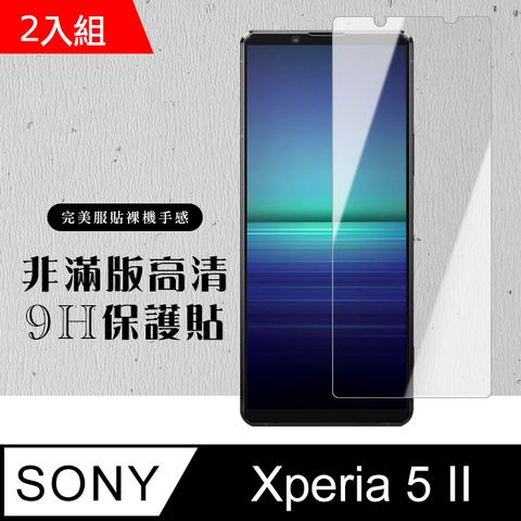 SONY 索尼 原廠  Xperia 5 II 鋼化膜 透明高清 9H(二入組)(Xperia5II保護貼 Xperia5II Xperia 5 II  保護膜 保護貼 鋼化膜 5 II  52)