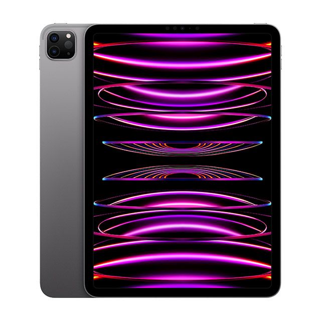 2022 Apple iPad Pro 11吋256G WiFi 太空灰(MNXF3TA/A) - PChome 24h購物