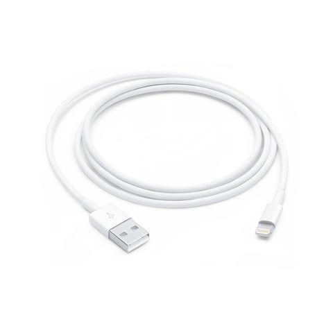 Apple 蘋果 Lightning 對 USB 連接線 (1 公尺)