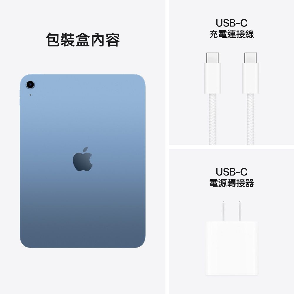 Apple 蘋果 iPad A16 (11代) 128G WiFi