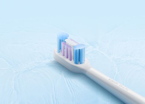 Xiaomi 聲波電動牙刷頭（T501專用）白色