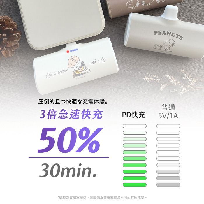 SNOOPY 史努比  復刻經典色系 Lightning PD快充 6000series 口袋隨身行動電源(Lightning接頭專用)