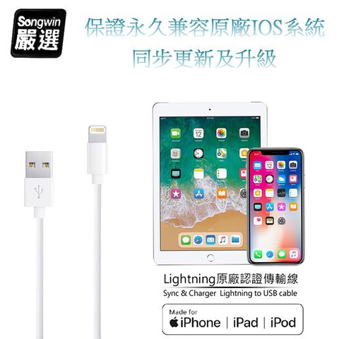 SONGWIN 尚之宇 iPhone Lightning 8Pin MFI蘋果認證 傳輸充電線1.2M (二入)