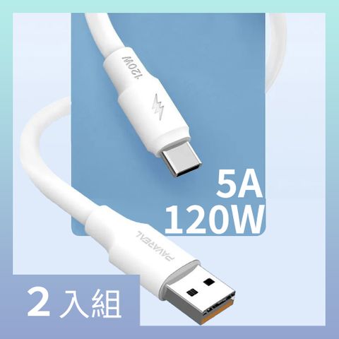 CS22 Type-C Lightning 5A 加粗 OD6.0mm蟒蛇超級閃充傳輸線-2入