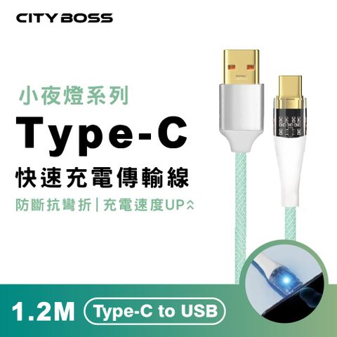 CITY BOSS Type-C to USB 120CM 透明發光傳輸充電線