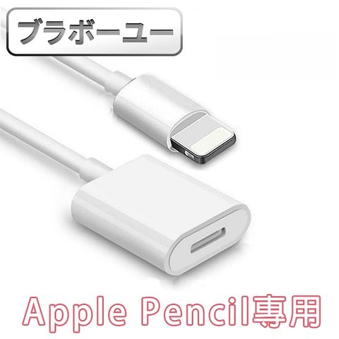 Apple 蘋果 一一  Pencil Lightning 充電延長轉接線(1M-白)