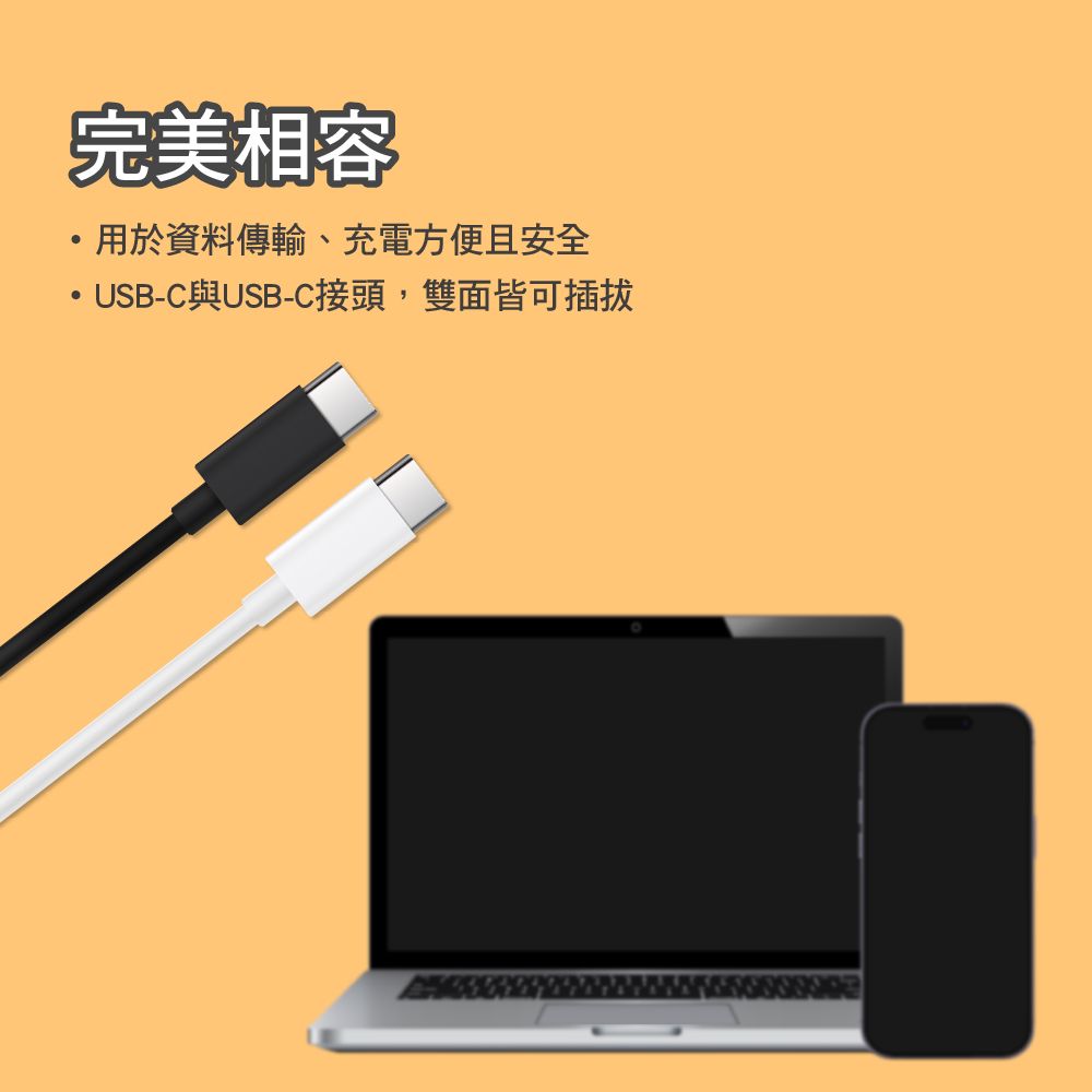 FUGU  USB-C to C快速充電線 1m+2m (快充線/Type c快充線)