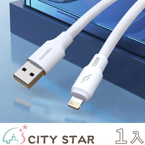 【CITY STAR】Type-C Lightning 5A 加粗 OD6.0mm蟒蛇超級閃充傳輸線