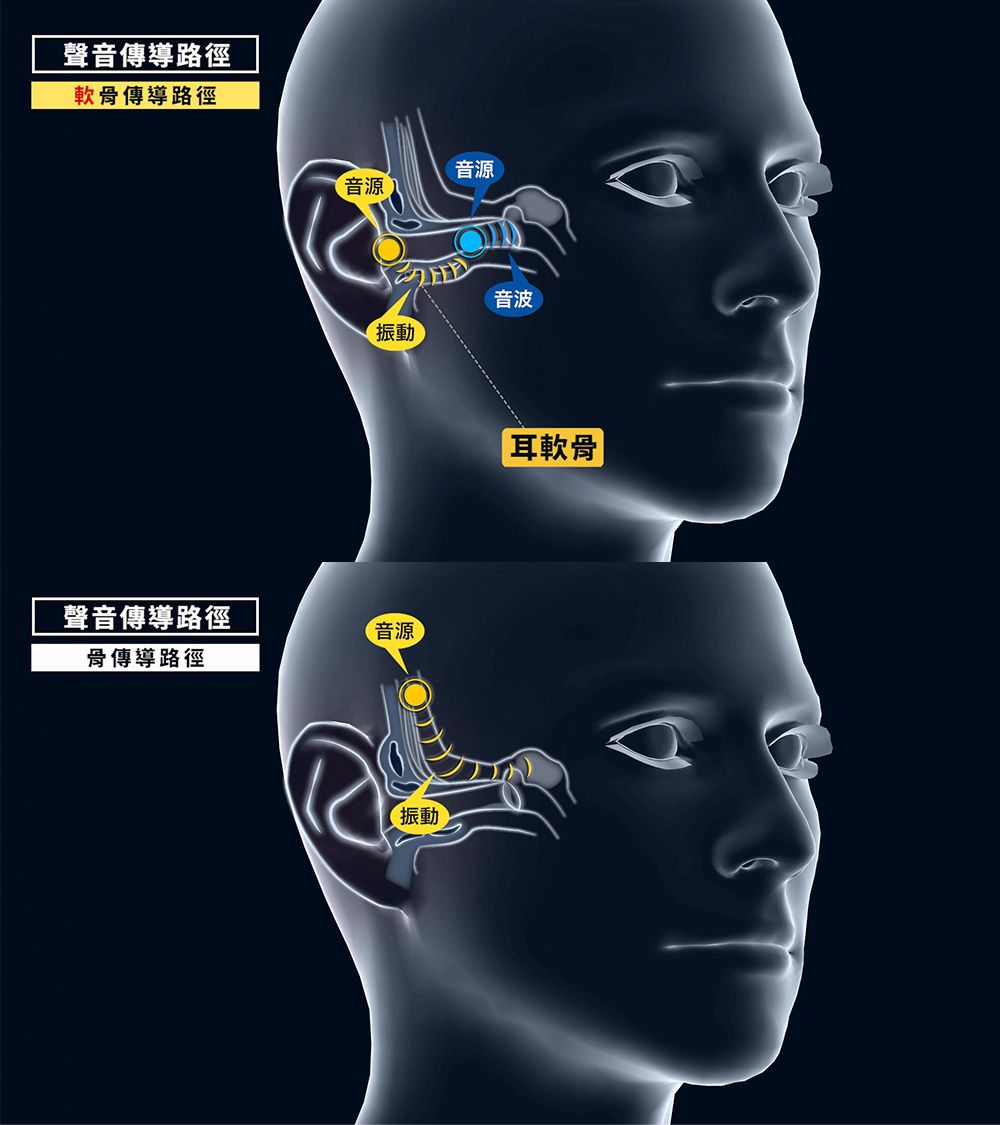 聲音傳導路徑軟骨傳導路徑音源音源音波振動聲音傳導路徑音源骨傳導路徑振動耳軟骨