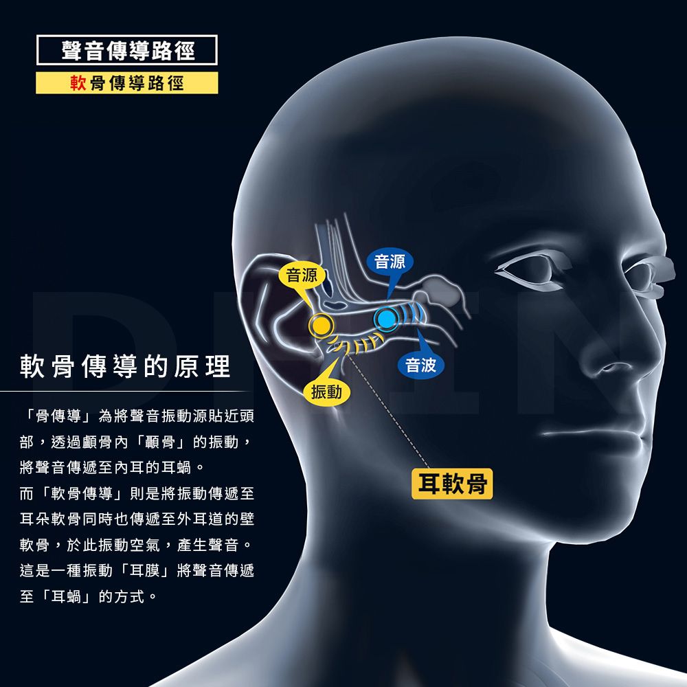 聲音傳導路徑軟傳導路徑軟骨傳導的原理音源音源振動音波骨傳導」為將聲音振動源貼近頭部,透過顱骨內「骨」的振動,將聲音傳遞至內耳的耳蝸。而「軟骨傳導」則是將振動傳遞至耳朵軟骨同時也傳遞至外耳道的壁軟骨,於此振動空氣,產生聲音。這是一種振動「耳膜」將聲音傳遞至「耳蝸」的方式。耳軟骨|