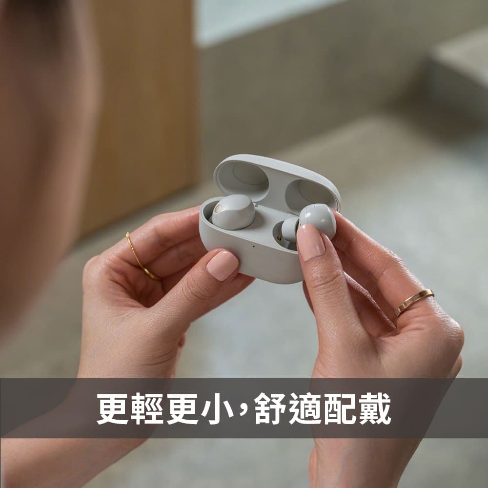 SONY 索尼 WF-1000XM5 真無線主動式降噪耳機