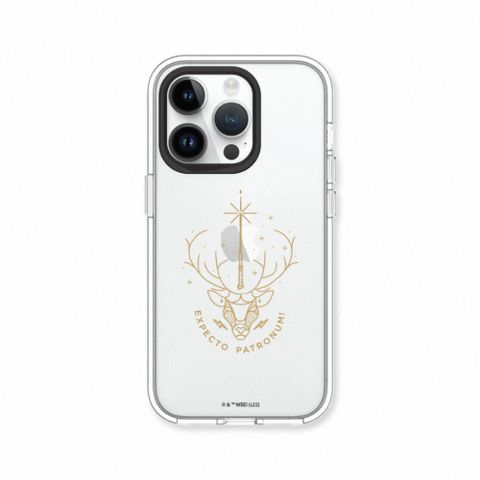 RHINOSHIELD 犀牛盾 iPhone 16/16 Plus/16 Pro/16 Pro Max Clear透明防摔手機殼∣哈利波特-圖騰系列：疾疾，護法現身！