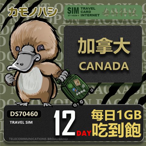 Platypus 鴨嘴獸 【 旅遊網卡】Travel Sim 加拿大12天 吃到飽 上網卡