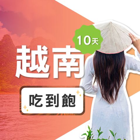【飛速移動】10天 越南上網卡｜飛速保證款 無限流量吃到飽