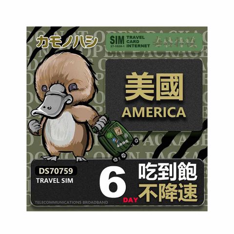 【鴨嘴獸 旅遊網卡】Travel sim 美國 6天 吃到飽不降速 上網卡