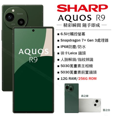 SHARP AQUOS R9 5G (12G/256G) -森之綠