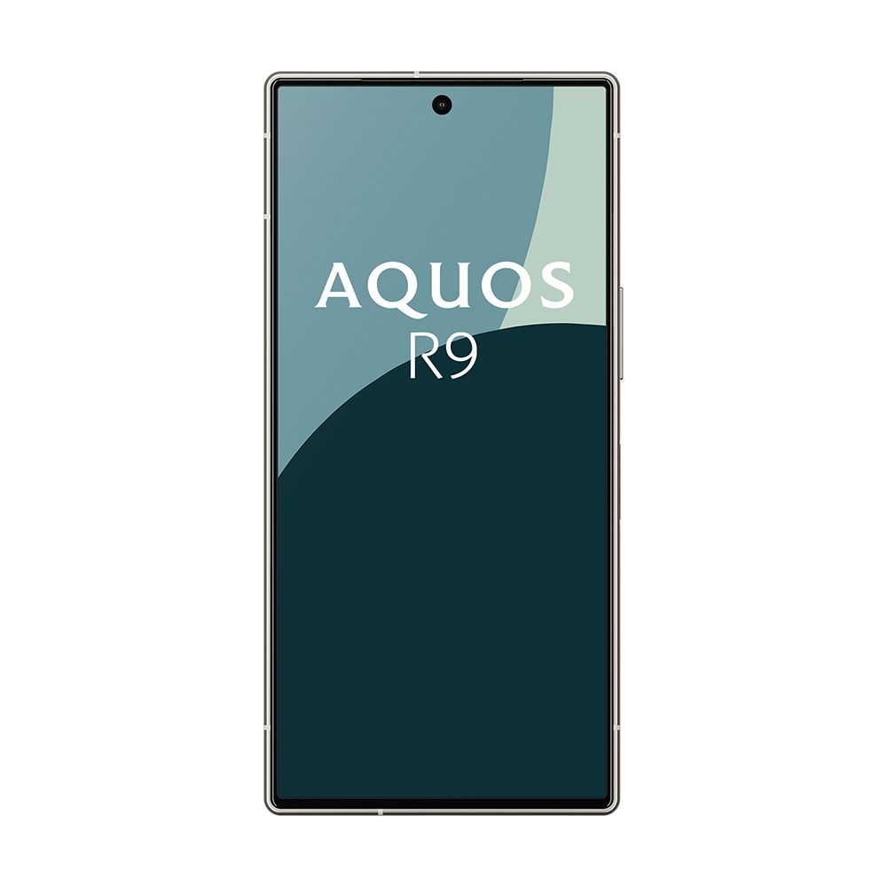 SHARP 夏普 AQUOS R9 5G (12G/256G) -雪之白