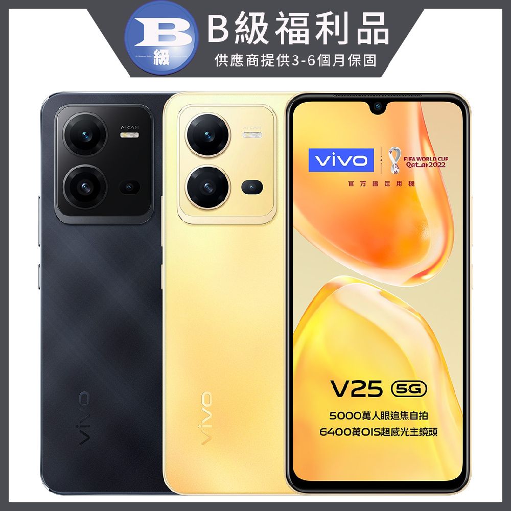 VIVO V25 5G 256GB