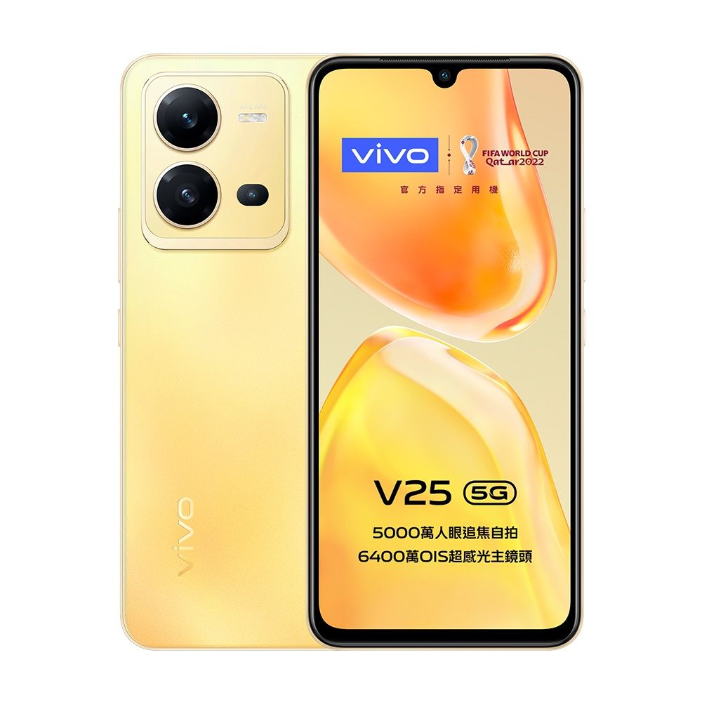 VIVO V25 5G 256GB