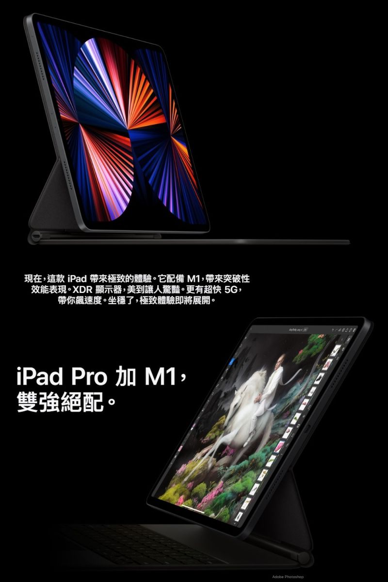 Apple iPad Pro 第5代12.9吋(WiFi/256G)【蘋果認證整新機】 - PChome