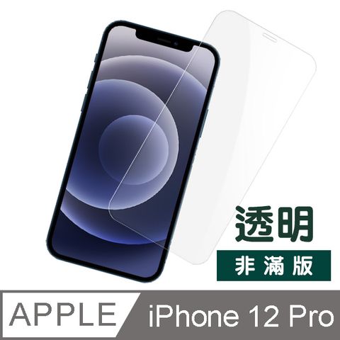 iPhone 12 Pro 透明高清 非滿版 防刮保護貼 手機螢幕保護貼 i12 Pro 手機保護貼