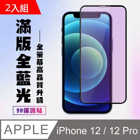 【IPhone 12/12 PRO】 高清藍光保護貼保護膜 5D黑框藍光全覆蓋 鋼化玻璃膜 9H加強硬度-2入組