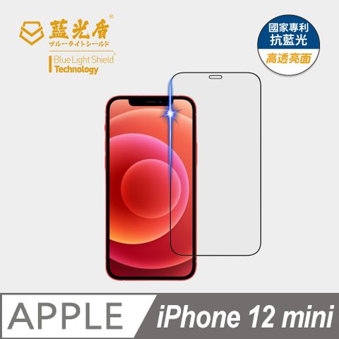 藍光盾 iPhone 12 mini9H超鋼化手機螢幕玻璃保護貼