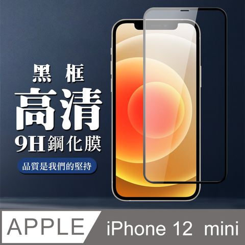 【IPhone 12 MINI】 全覆蓋鋼化玻璃膜 黑框高清透明 5D保護貼 保護膜 防指紋防爆