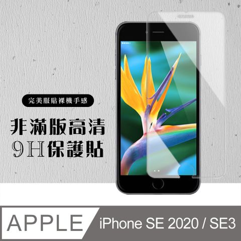 【IPhone SE2/SE3】 硬度加強版 透明非全覆蓋鋼化玻璃膜 高透光透明保護貼 保護膜