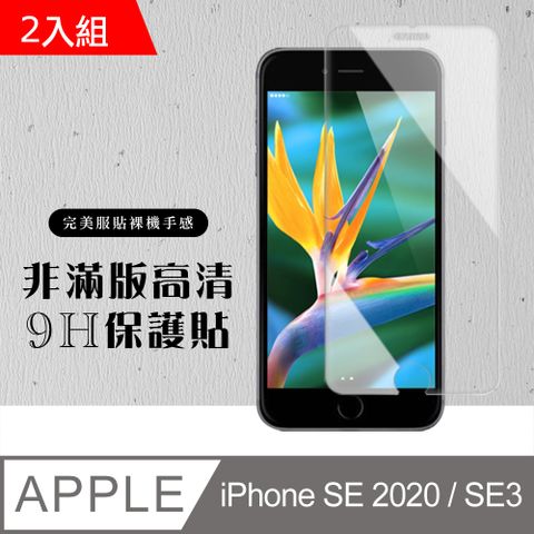【IPhone SE2/SE3】 硬度加強版 透明非全覆蓋鋼化玻璃膜 高透光透明保護貼 保護膜 -2入組