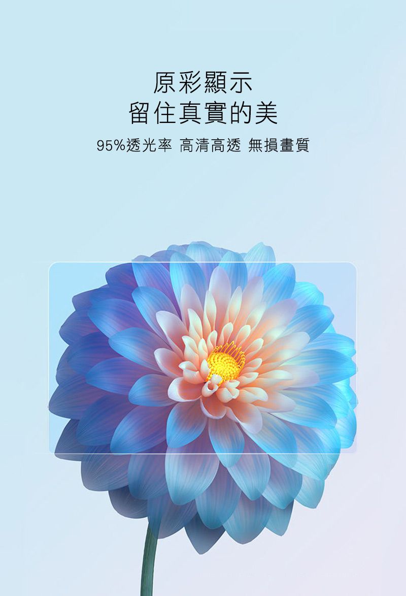 原彩顯示留住真實的美95%光率 清高透 無損畫質