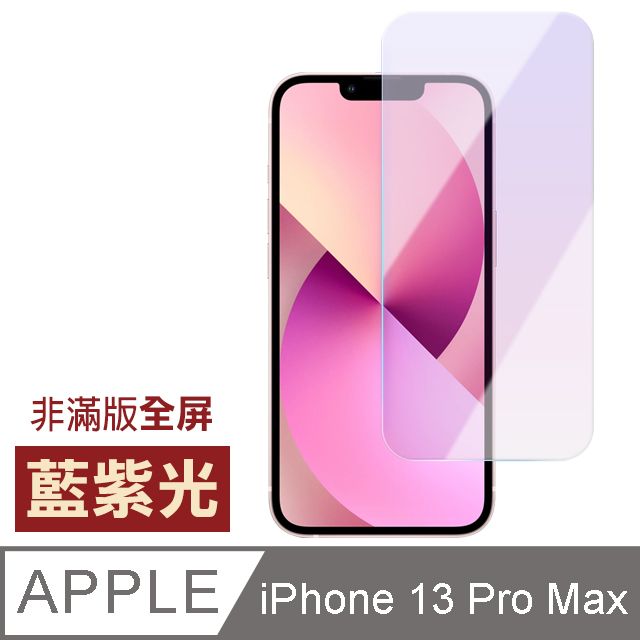  iPhone 13 Pro Max 非滿版 藍紫光 保護貼 手機 9H 鋼化膜 ( iPhone13ProMax保護貼 )