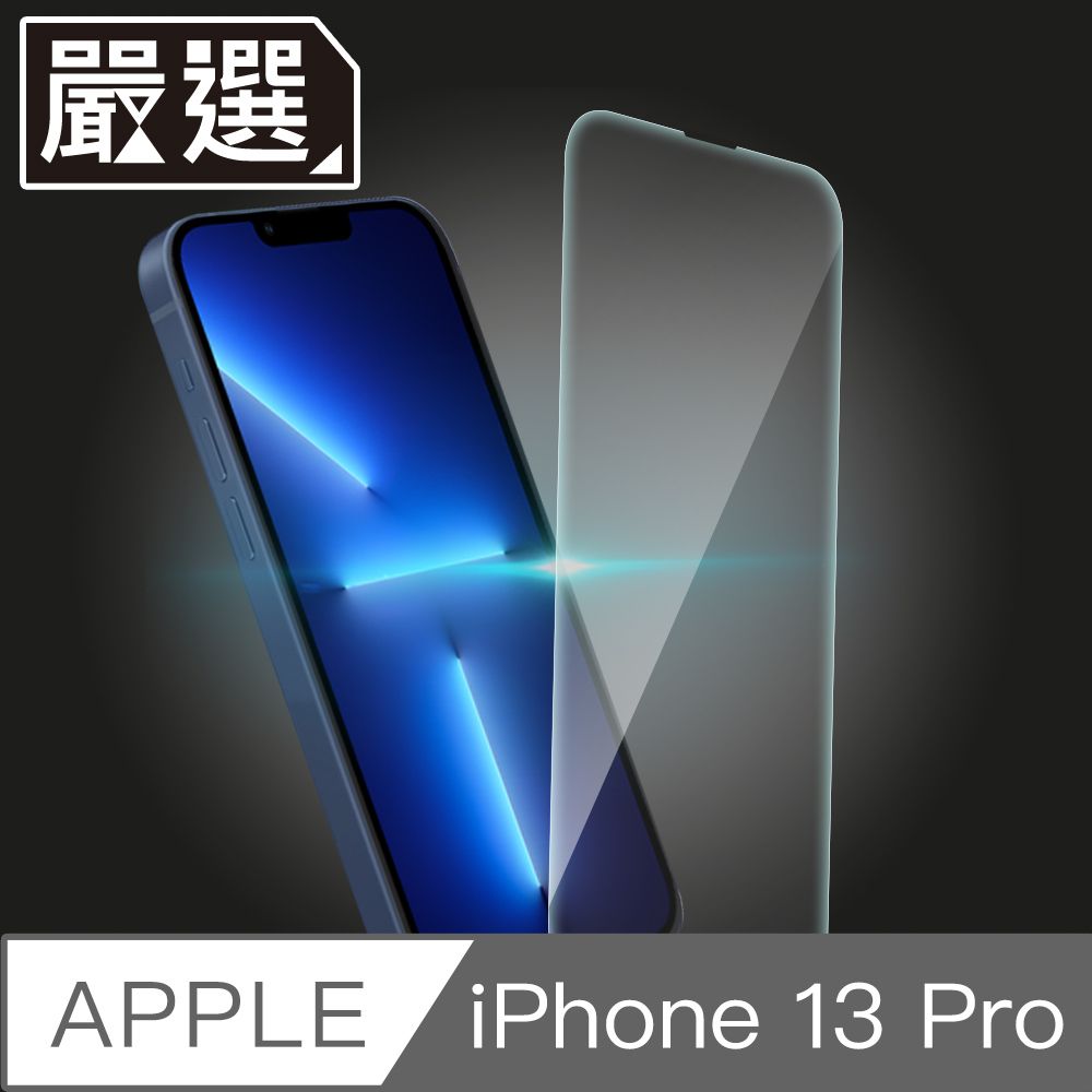  嚴選 iPhone 13 Pro 自動吸附疏水疏油非滿版鋼化玻璃保護貼