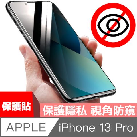 HiiCase iPhone 13 Pro 全滿版鋼化玻璃防塵網防窺保護貼