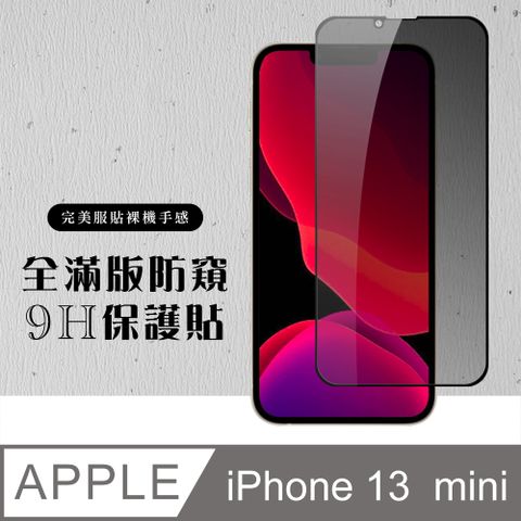 【IPhone 13 MINI】 硬度加強版 黑框防窺全覆蓋鋼化玻璃膜 高透光防窺保護貼 保護膜