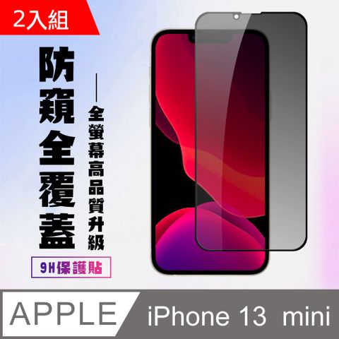 【IPhone 13 MINI】 高清防窺保護貼保護膜 5D黑框防窺全覆蓋 鋼化玻璃膜 9H加強硬度-2入組