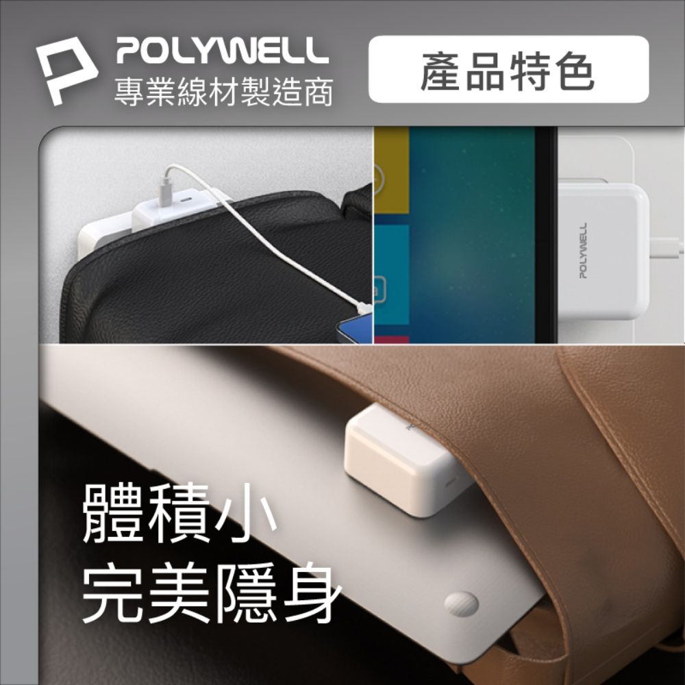 POLYWELL 寶利威爾 35W雙C孔快充頭+C to C Gen2 10G 100W 1M