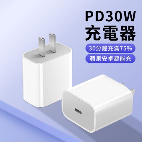 BORUI 30W 氮化鎵GaN Type-C PD快充 充電器 豆腐頭 直充 充電頭 (適用ipad/安卓手機平板/蘋果iPhone16/15/14)