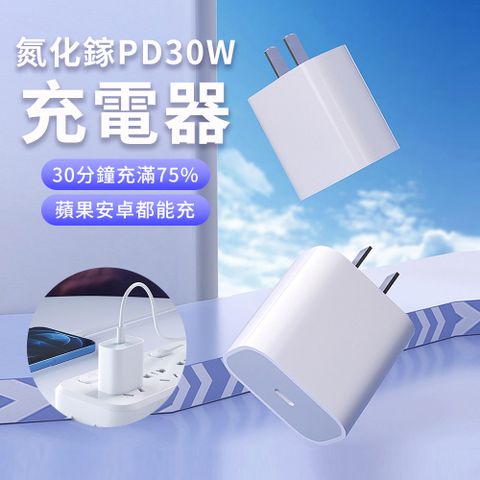 BORUI 30W 氮化鎵GaN Type-C PD快充 充電器 豆腐頭 直充 充電頭 官方同款 (適用ipad/安卓/iPhone16/15/14)