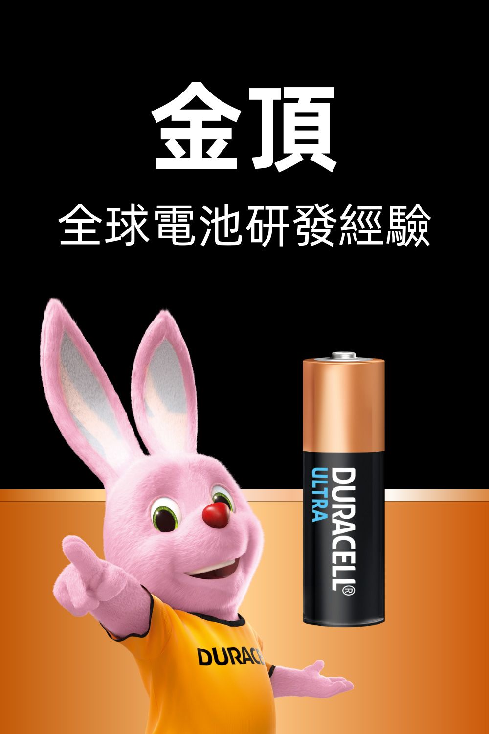 金頂全球電池研發經驗ELLⓇULTRADURAC