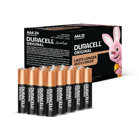 【DURACELL 金頂】經典鹼性4號 AAA 20入(4入組*5個)