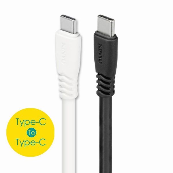 KINYO  5A極速TYPEC-C充電傳輸線USB-TYC01兩入裝