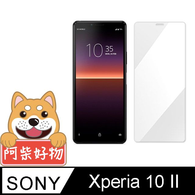 SONY 索尼  Xperia 10 II 非滿版 9H鋼化玻璃貼