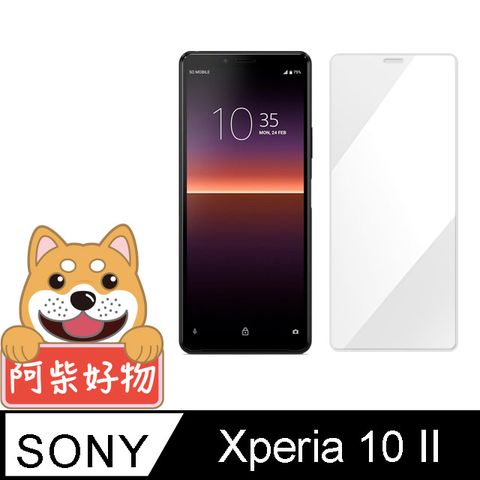 SONY 索尼 Xperia 10 II 非滿版 9H鋼化玻璃貼