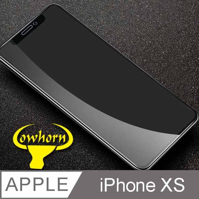  IPHONE X 2.5D曲面滿版 9H防爆鋼化玻璃保護貼 (黑色)