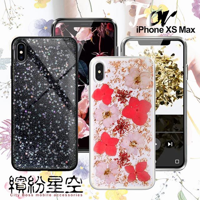 CITY BOSS CITYBOSS for iPhone XS Max 繽紛星空全包防滑保護殼-玫瑰金飛燕 星空 兩款任選